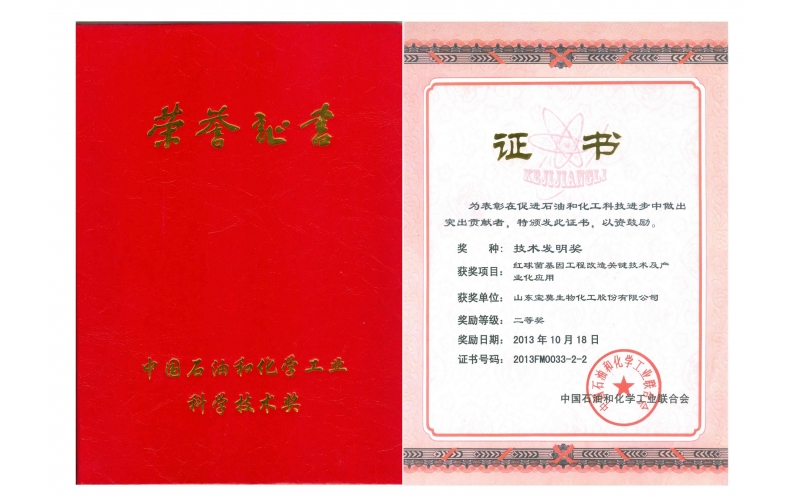 公司獲國家“技術發明”二等獎