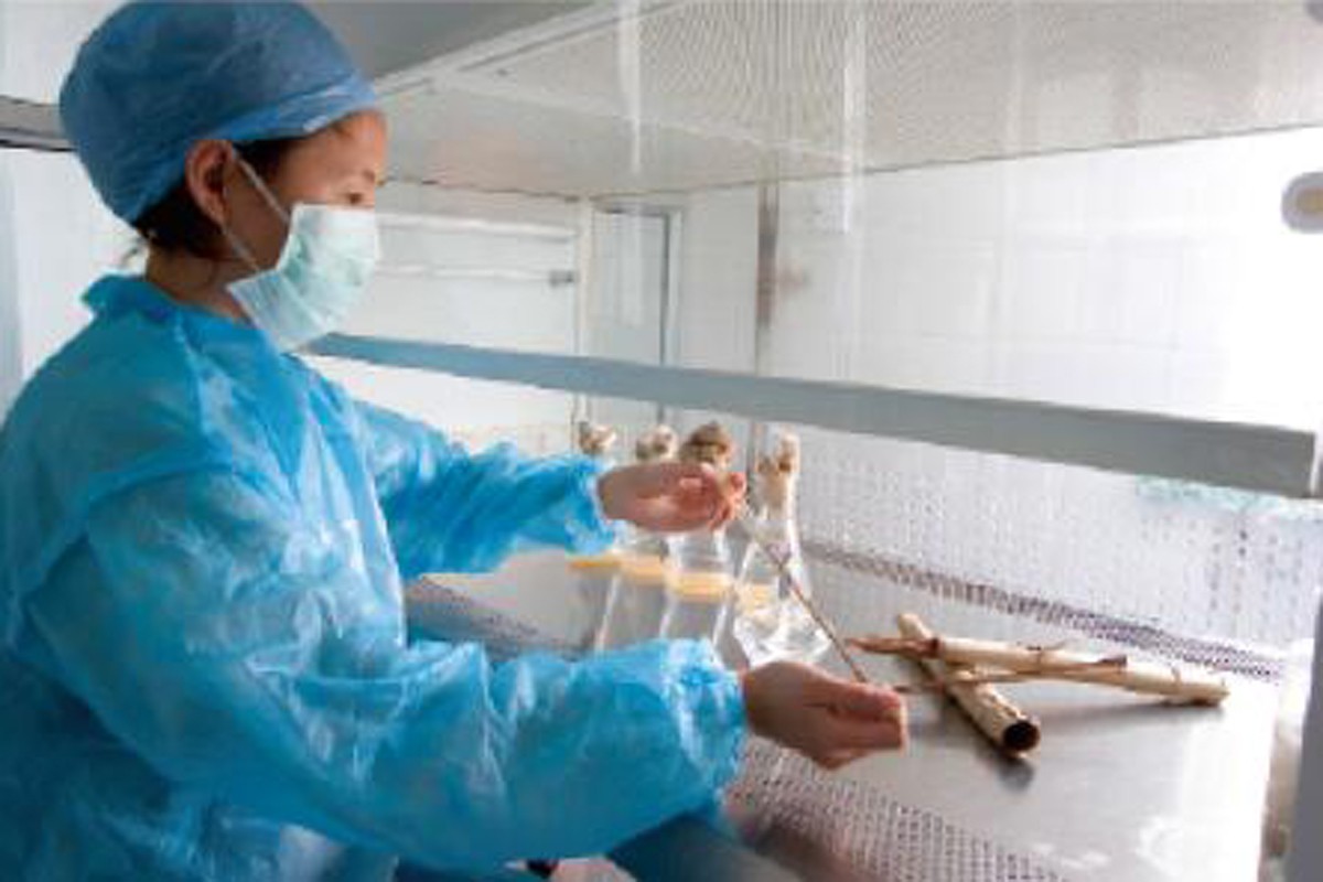 6766澳门娱乐直营 6766澳门娱乐直营